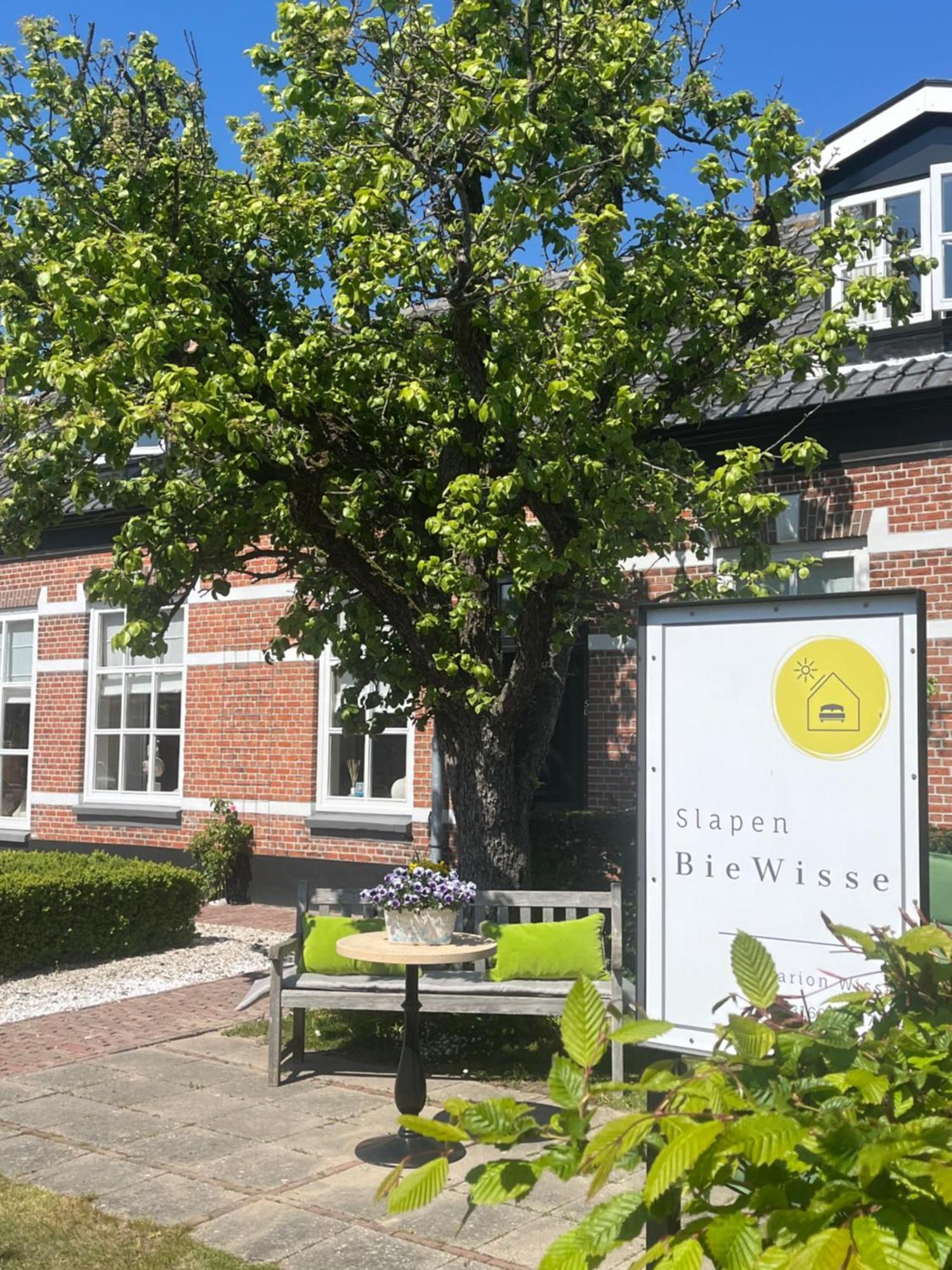 Ferienwohnung Slapen Bie Wisse Kamperland Exterior foto