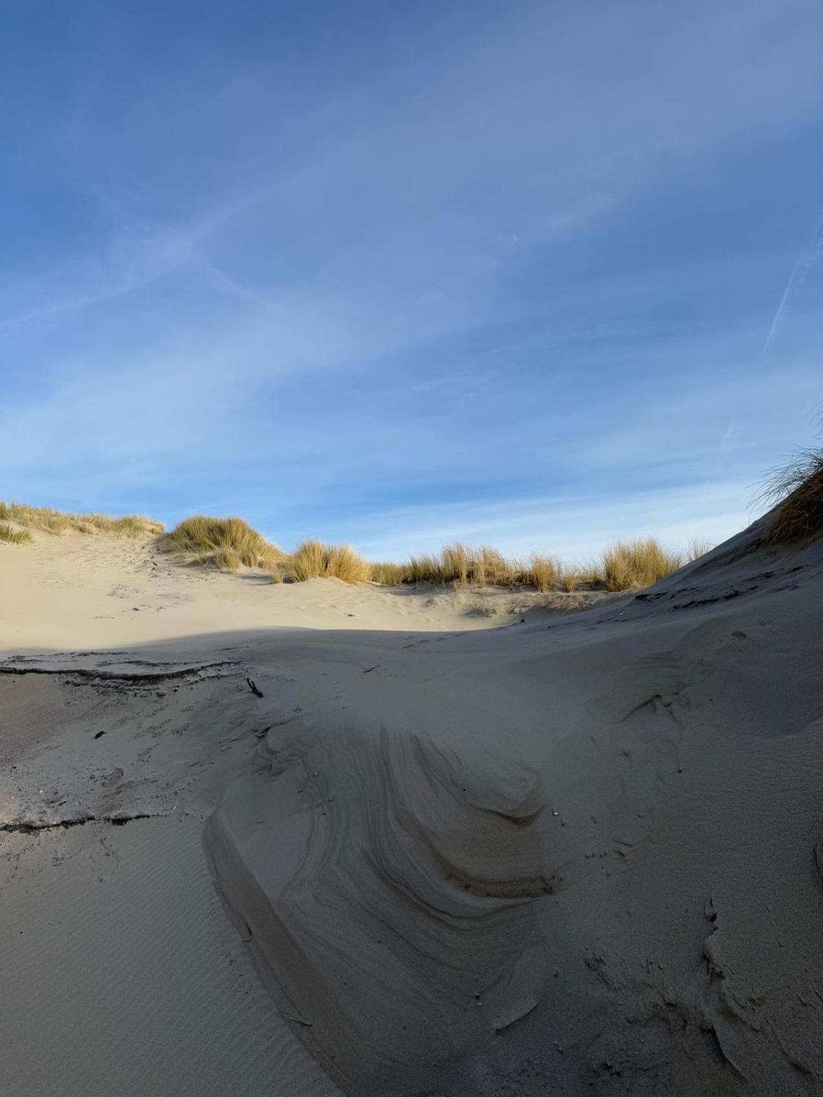 Ferienwohnung Slapen Bie Wisse Kamperland Exterior foto